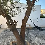 Сasa de vacaciones Pina House