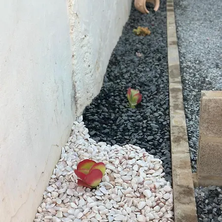 Pina House بيت للعطل بيرا